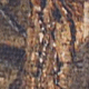Mossy Oak DNA